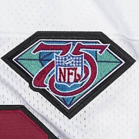 Authentic Jerry Rice San Francisco 49ers Jersey