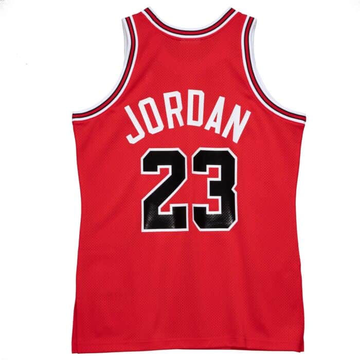 Authentic Michael  Chicago Bulls 1991-92 Jersey