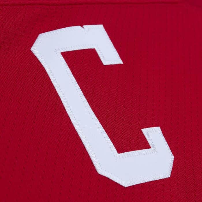 Blue Line Gordie Howe Detroit Red Wings 1960 Jersey